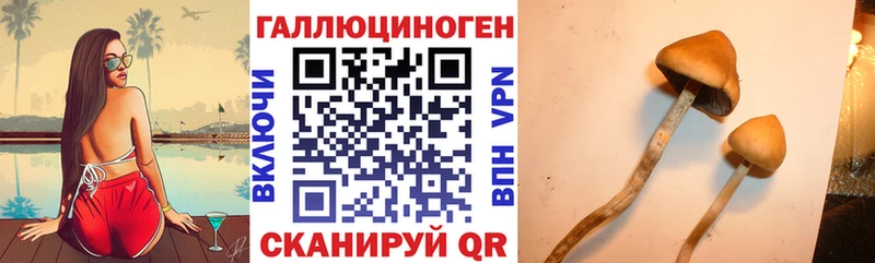 Псилоцибиновые грибы Psilocybine cubensis  ссылка на мегу как войти  Свирск 